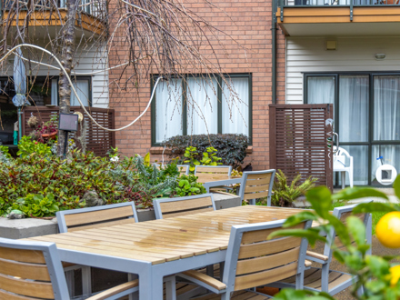 Outdoor Garden View