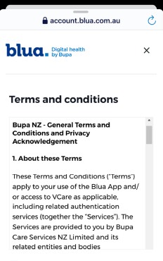 Terms and conditions