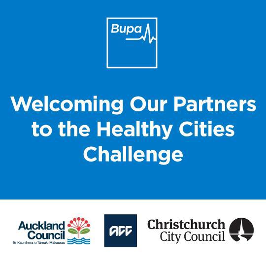 healthy cities partners