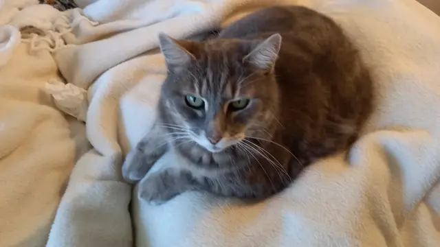 Smokey with owner