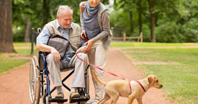 Walking a dog in a wheelchair