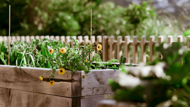 Crofton Downs Vegetable Gardens