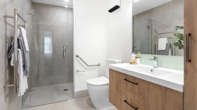 Rakahui Apt - bathroom with shower 