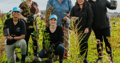 Bupa team planting
