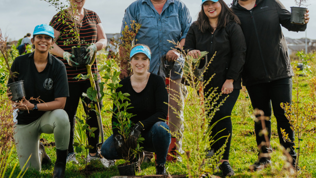 Bupa team planting