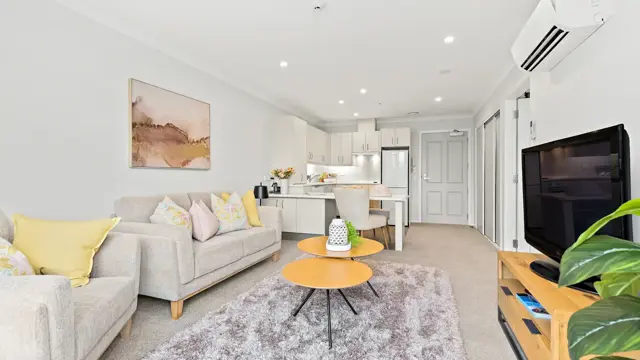 Apt 217 - living and kitchen 