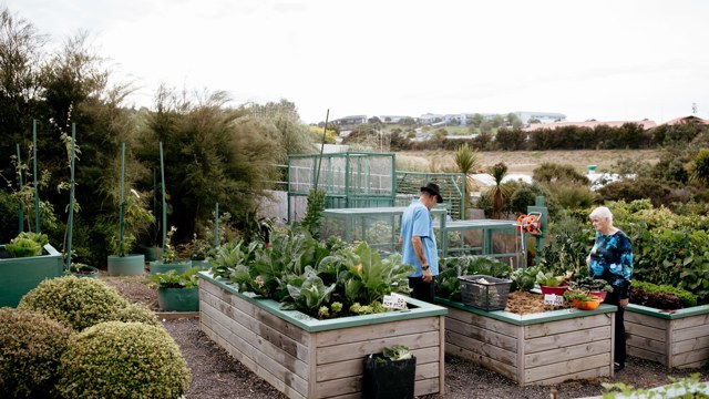 Vegetable Gardens Hugh Green Retirement Village Bupa