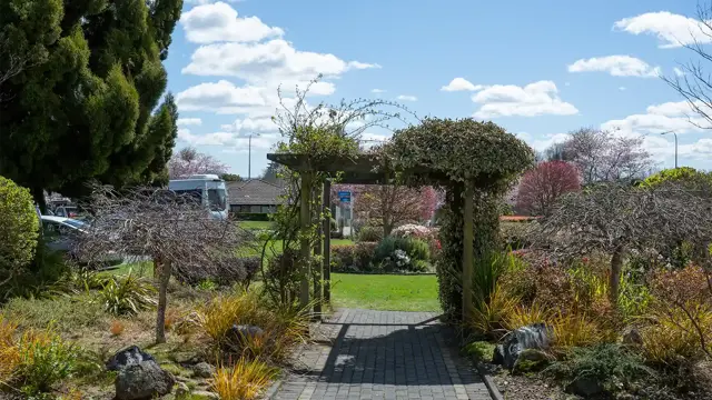 Redwood - Garden 