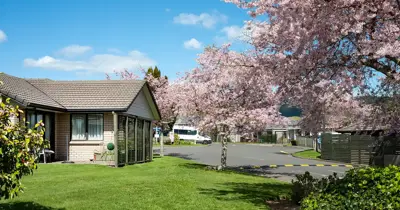 Redwood - villa with tree