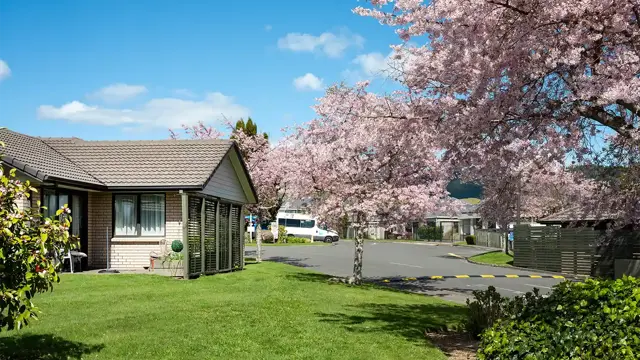 Redwood - villa with tree