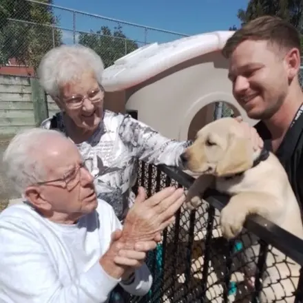 Wattle Downs residents with guide dog