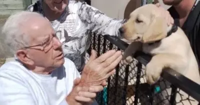 Wattle Downs residents with guide dog