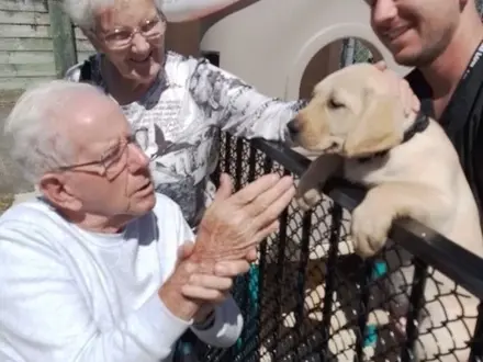 Wattle Downs residents with guide dog