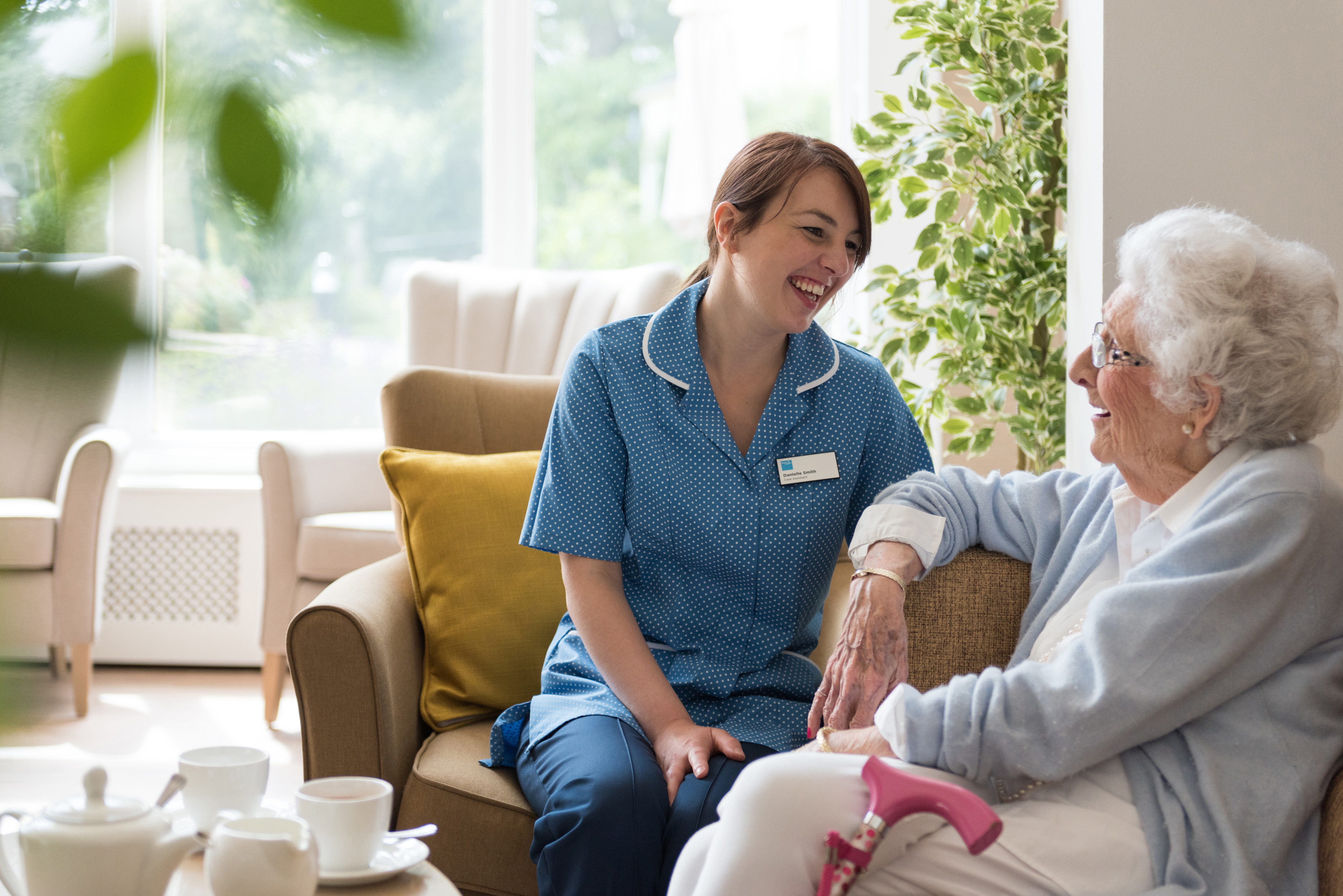 Understanding Dementia Book