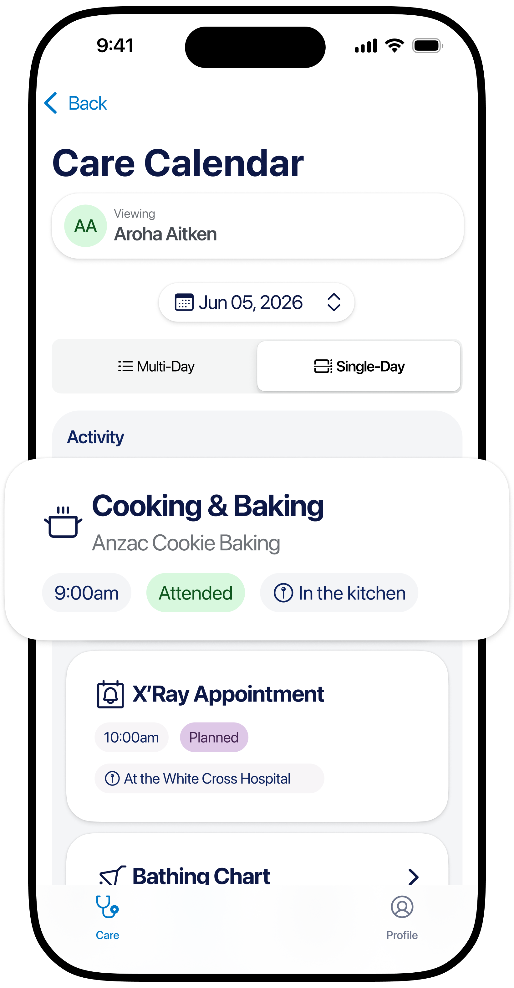 How blua care calendar looks
