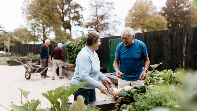 Outdoor Gardens Parkstone
