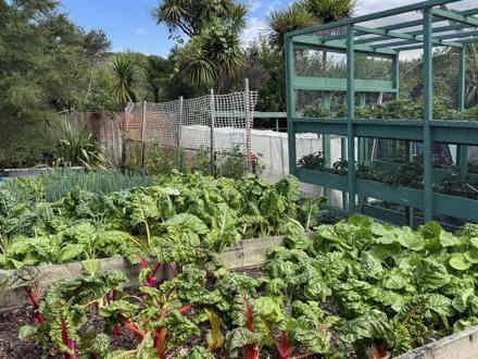 Vegetable garden