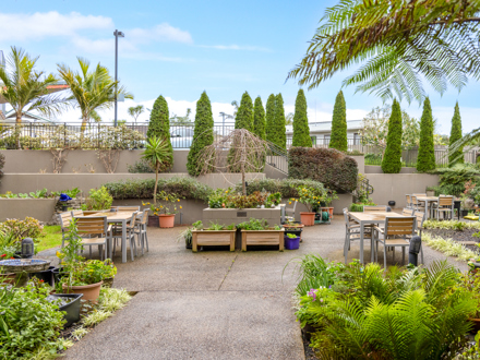 Outdoor Garden and Patio Area
