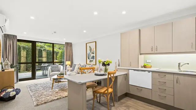 Apt 101 - kitchen and living 