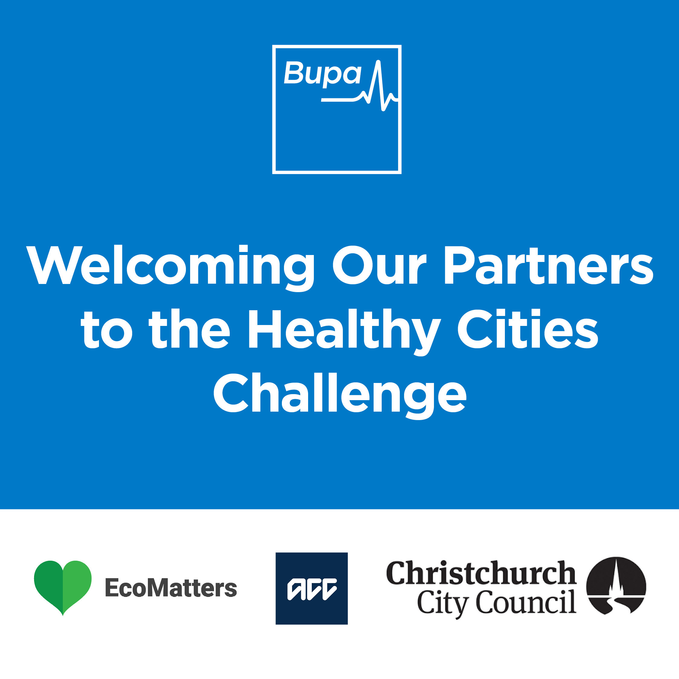 healthy cities partners