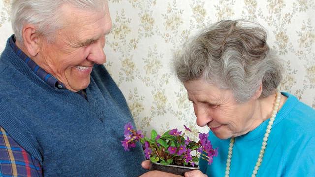Retired couple Giving Flowers