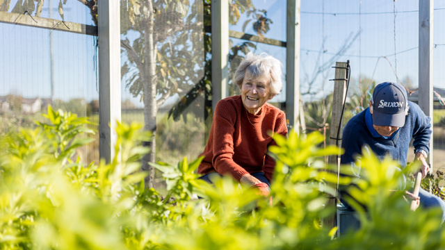Couple gardening in Village