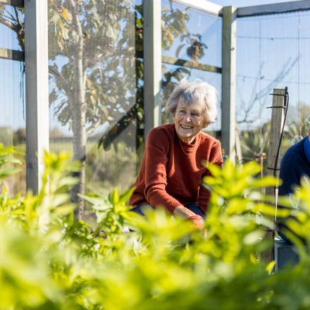 Couple gardening in Village