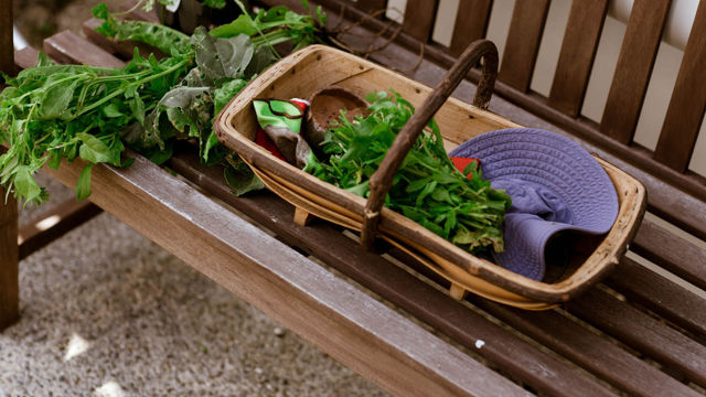 Crofton Downs Gardening
